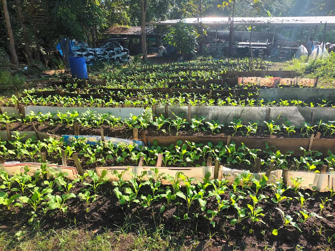 Young Smart Farmers
