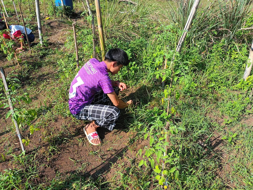 Young Smart Farmers