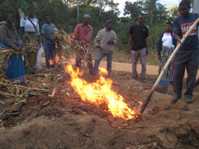 Farmers learning how to burn crop waste in a trench and turn it into valuable biochar to enrich their soil