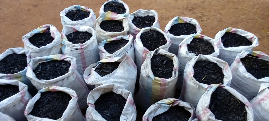 Local farmers engaged in biochar production training to promote sustainable agriculture