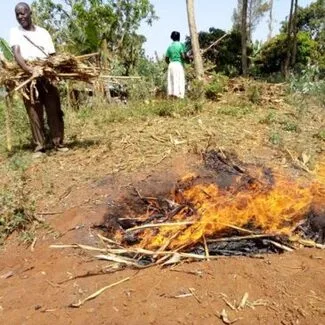 Farmers are learning how to make biochar in a trench
