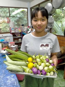 Proud Young Smart Farmer with a basket of freshly picked produce from their garden