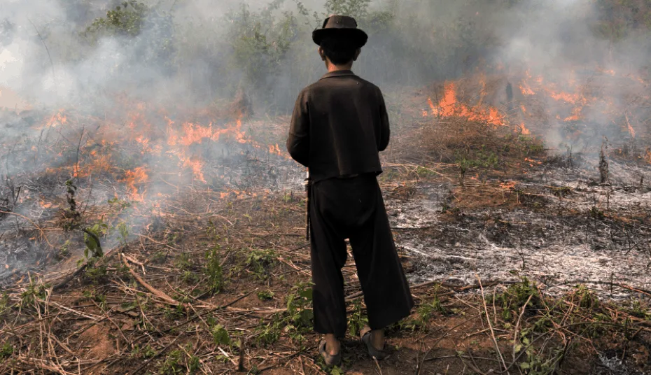 open field burning