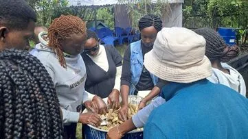 Local farmers engaged in biochar production training to promote sustainable agriculture